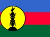 new-caledonia-flnk.jpg